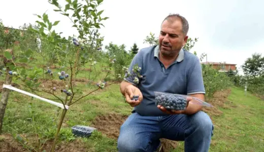 Fatsa Belediyespor Yeni Sezona 16 Transferle Girdi