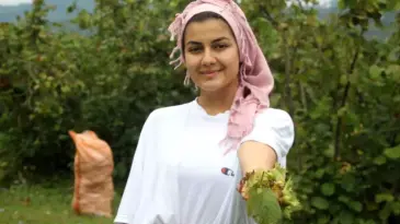 Fındık Hasadı Ordu’da Başladı